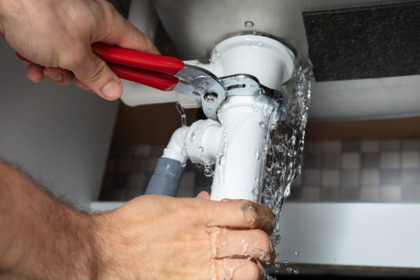Best Mold removal after water damage  in Waikoloa Village, HI