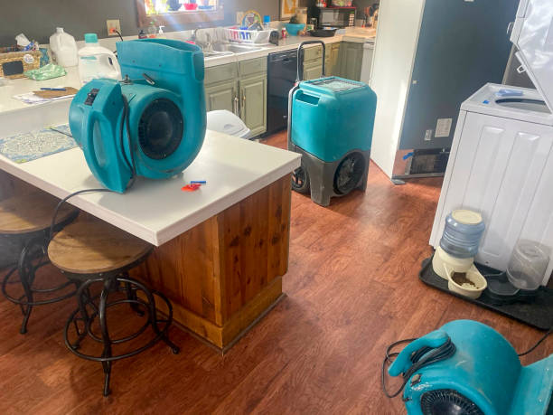 Best Carpet water damage restoration  in Waikoloa Village, HI